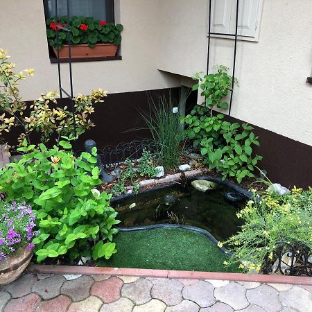 Milla Apartman Szentendre Exterior foto